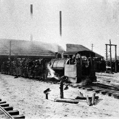 Florida Wood Products Company Mill Trestle (Take Lem Turner Road)