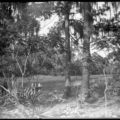 Fishing from boat on Fishweir Creek/GP1.2367