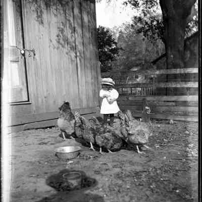 Leah Mary Cox Glass Plate Negatives