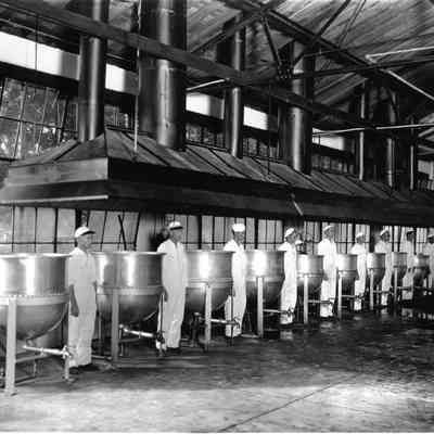 Hop to It: beer production
