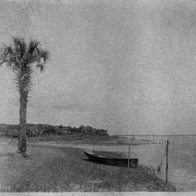 Fort George Palm Tree and Boat Opposite Mayport by Boat