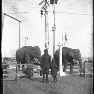 Leah Mary Cox Glass Plate Negatives