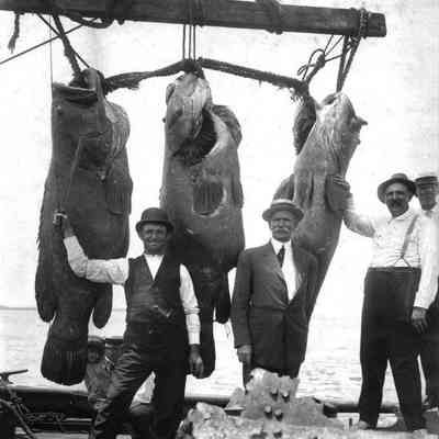 A Fish Story: Governor Napoleon Bonaparte Broward & Montcalm Broward