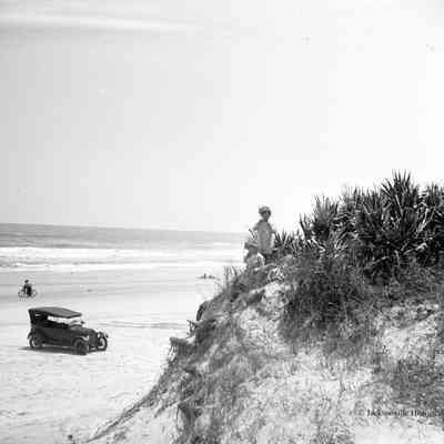 Beachfront Property: dunes