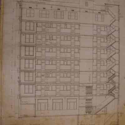 Longitudinal Section