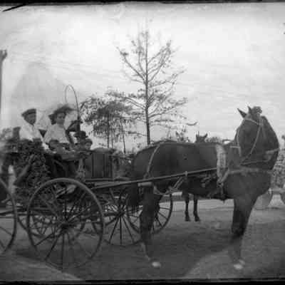Leah Mary Cox Glass Plate Negatives