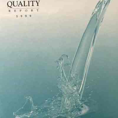 1999 Annual water quality report