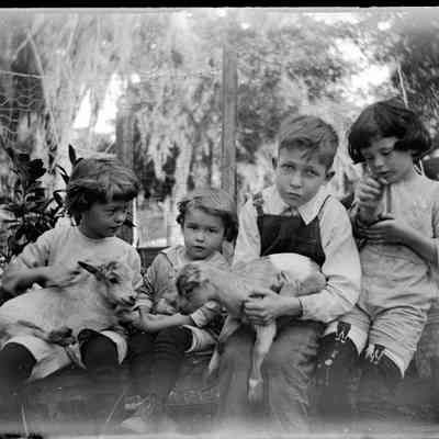 Leah Mary Cox Glass Plate Negatives