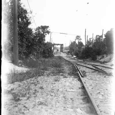 Leah Mary Cox Glass Plate Negatives