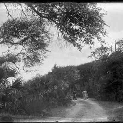 Ft. George Island/GP1.389