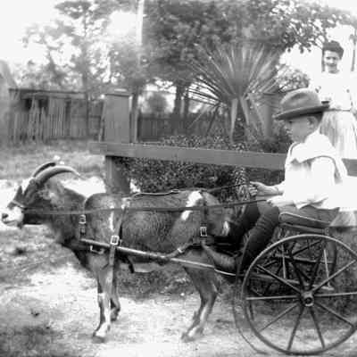 Leah Mary Cox photograph of a boy in a goat cart