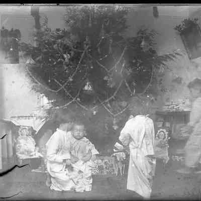 Leah Mary Cox Glass Plate Negatives