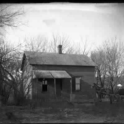 Leah Mary Cox Glass Plate Negatives