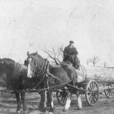 John J. Storms and Tulip Log