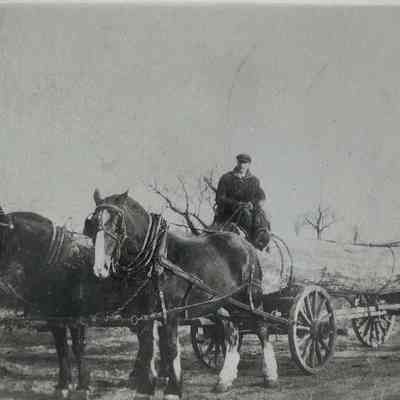 John Storms and Horses