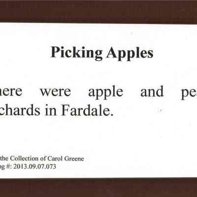 Picking Apples Caption