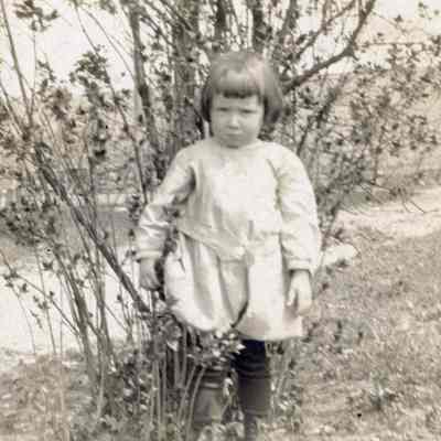 Henrietta Morriss