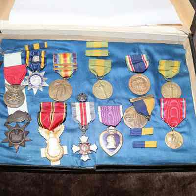 Charles Wild Medals in Box