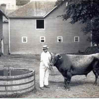 Black Prince at Valley Farm