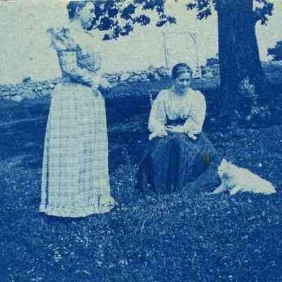 Annie Carpenter at Valley Farm