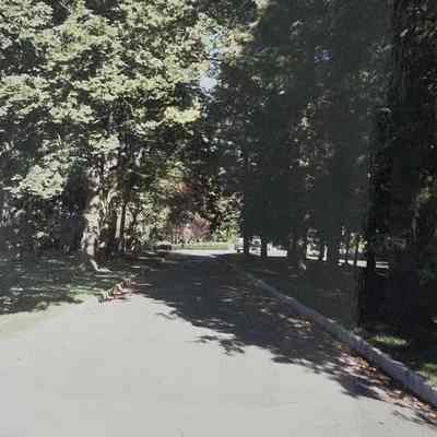 #18 Entrance drive