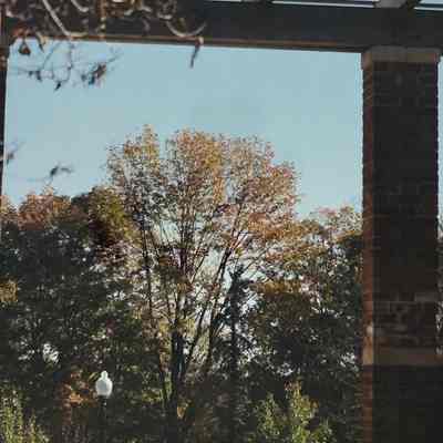 #23 A Pergola