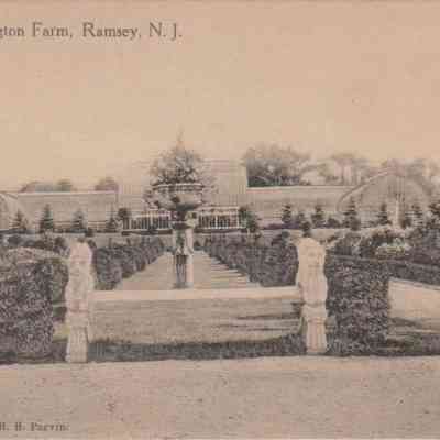 McMillans Darlington Farm Greenhouses