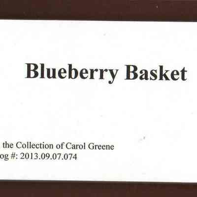 Blueberry Basket Caption