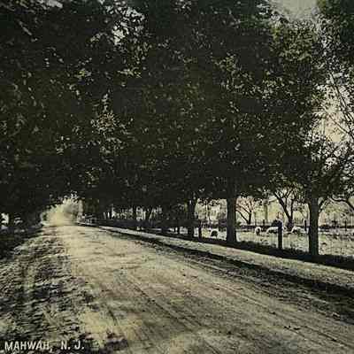 Havemeyer Road