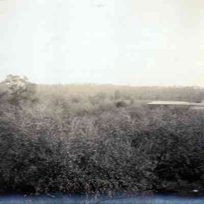 Woods and Farm