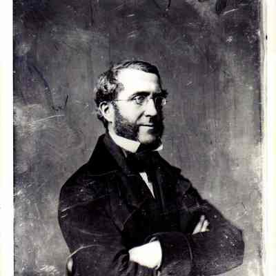 William F. Havemeyer