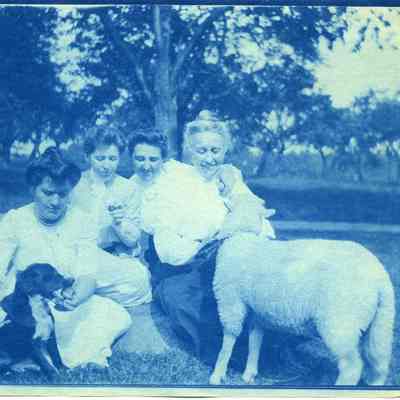 Annie Carpenter & friends at Valley Farm with lamb and dog