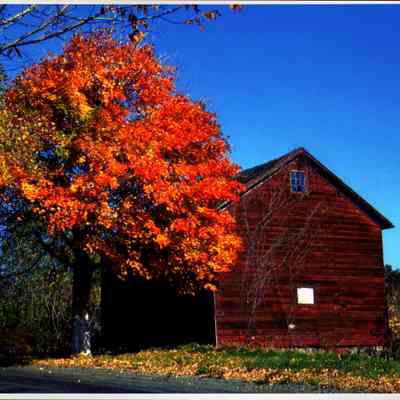 Cornelius Quakenbush Barn