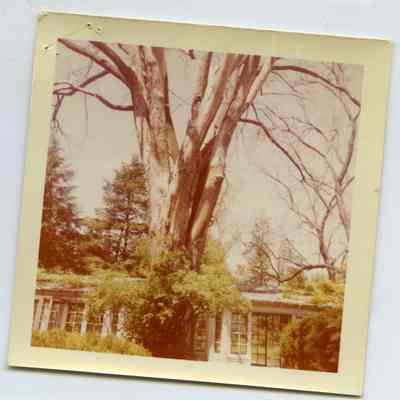 Havemeyer House property