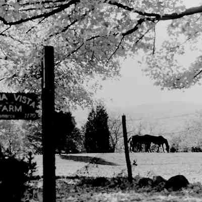 Buena Vista Farm