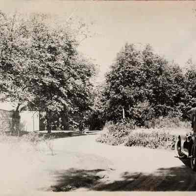 Ash Hone on Miller Road