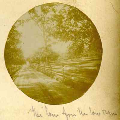 Lane from the Cow Barn on Havemeyer Estate