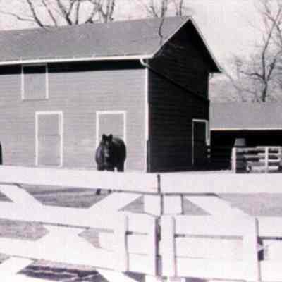 Barn with Horses