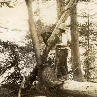 Young Family Vacation in the Woods with a Bear Cub