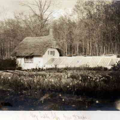 Greenhouse