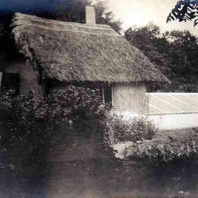 Thatched cottage and green house