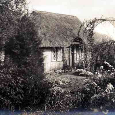 Thatched cottage and garden
