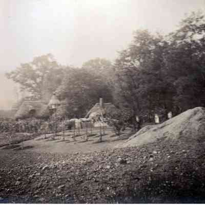Thatched cottages and garden