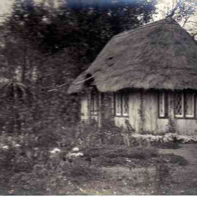 Thatched cottage and garden