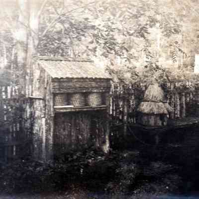 Gardening shed