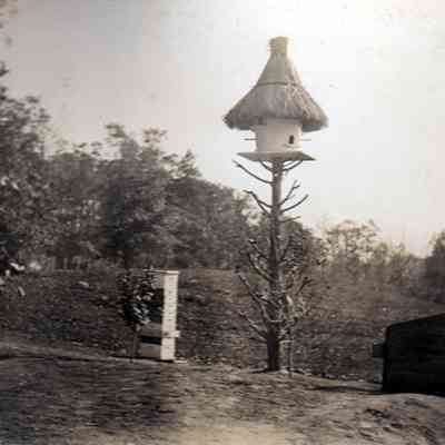 Bird house