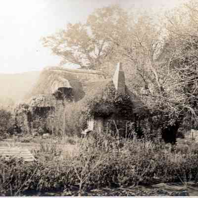 Thatched cottage