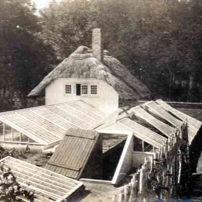 Greenhouse
