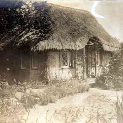 Thatched cottage