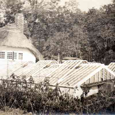 Thatched cottage and greenhouse